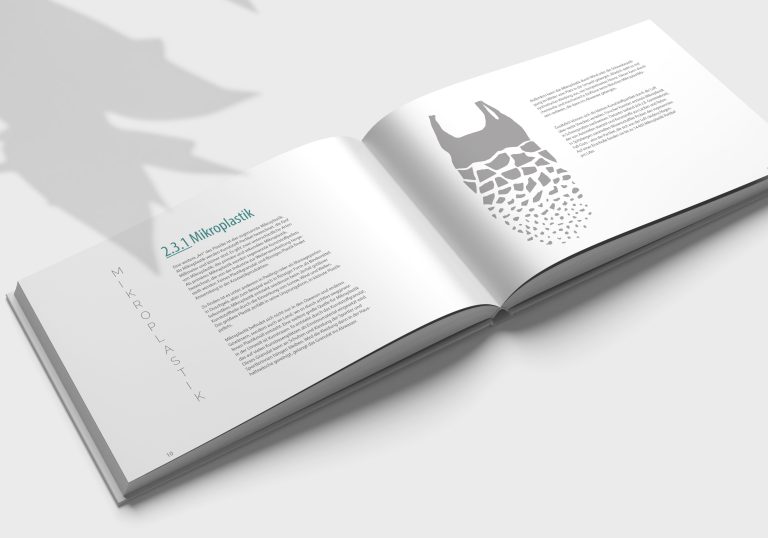 Mikroplastik in Bachelorarbeit über Nachhaltigkeit